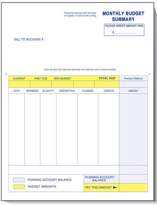 Picture of WBS-402 Budget Summary Statement for Market Line Software
