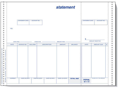 Picture of CS-301 Statement for Micro-Analyst Software