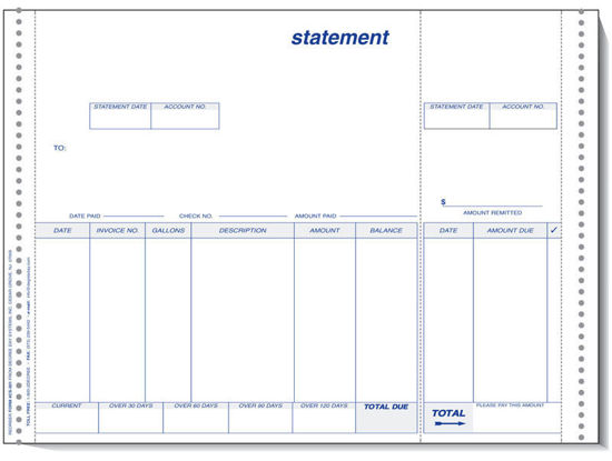 Picture of CS-301 Statement for Micro-Analyst Software